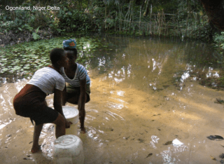 Screen Shot 2020-05-12 at 1.29.15 PM