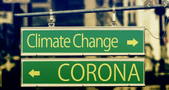 Screen Shot 2020-05-12 at 12.31.07 PM